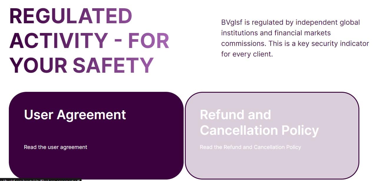 BVglsf Security Measures