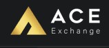 ACE logo