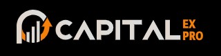 Capitalex Pro logo
