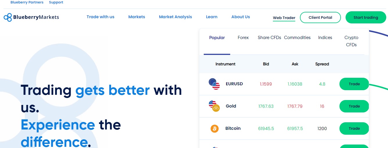 Blueberry Markets website