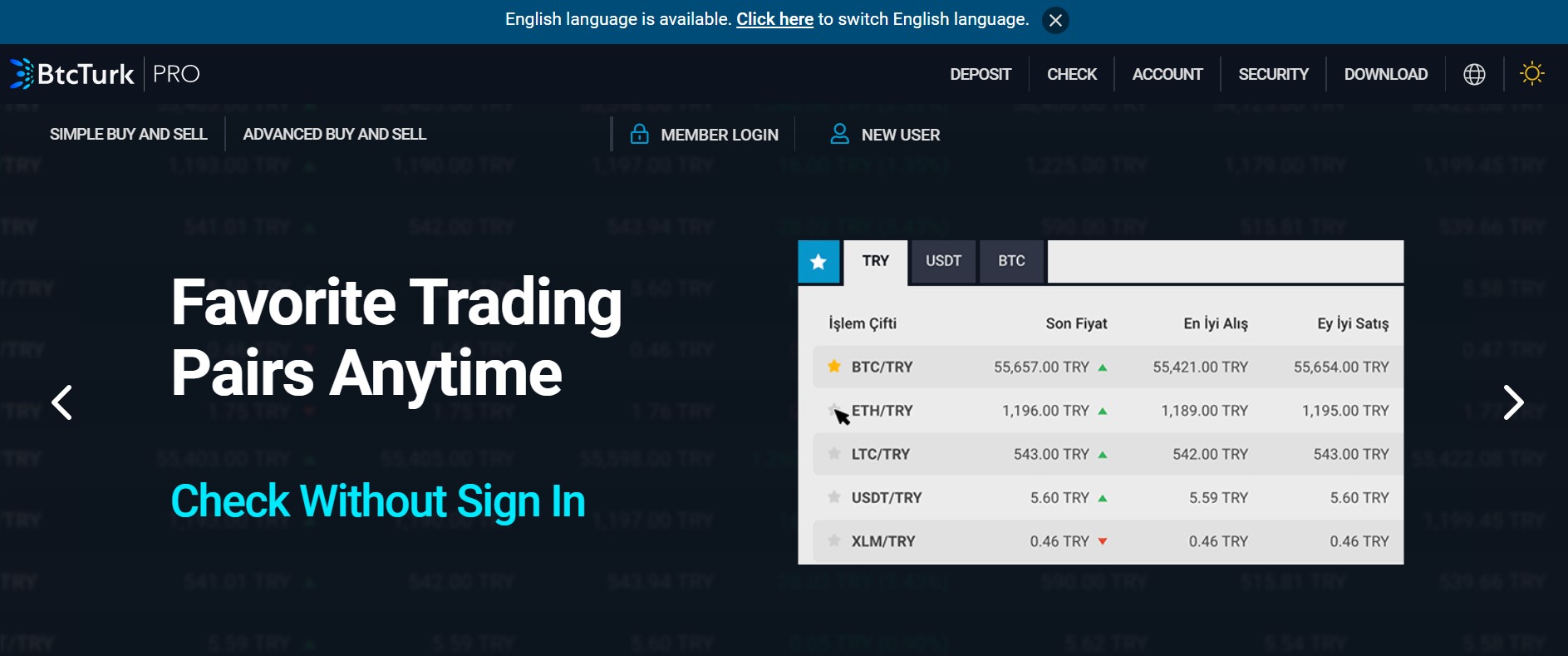 BtcTurk Pro website
