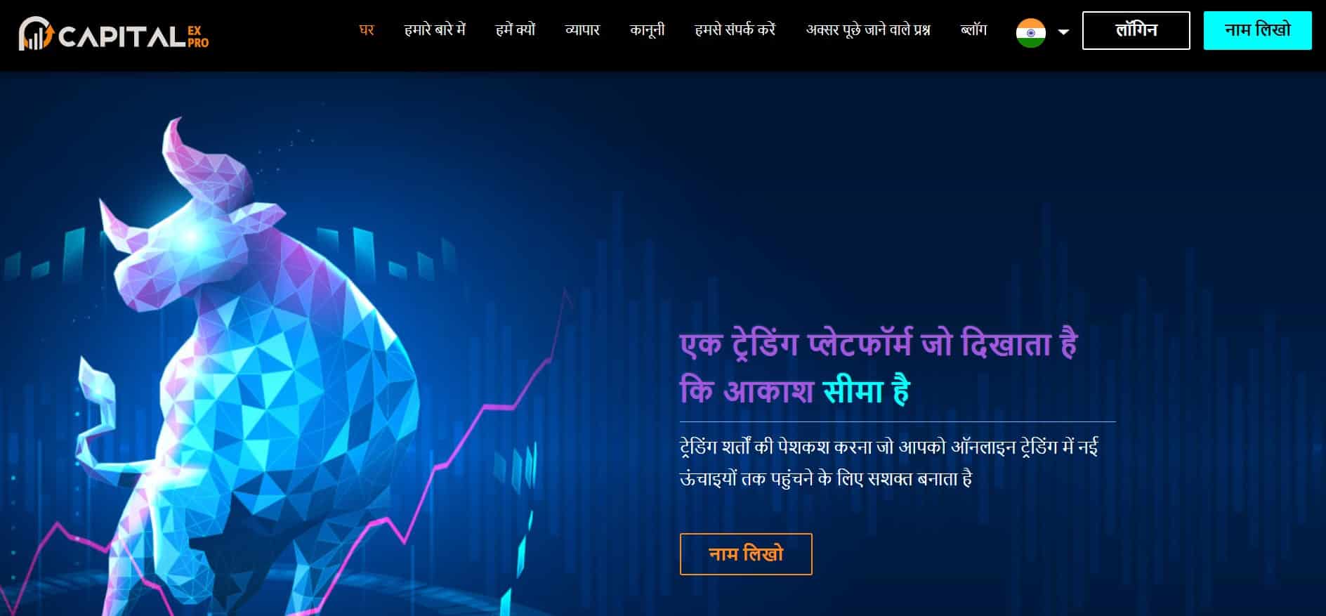 Capitalex Pro website